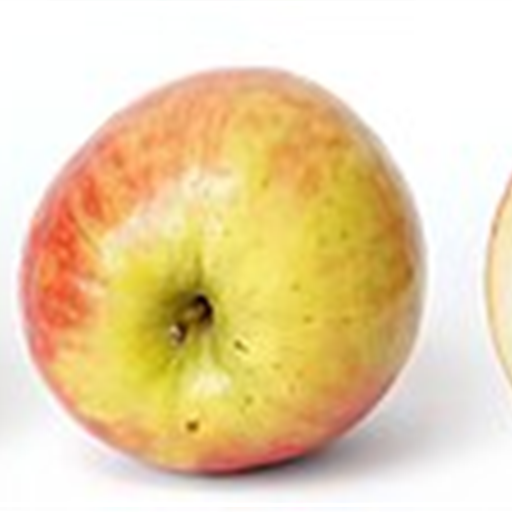 Apple Shimla