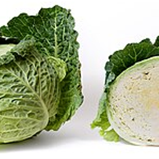 Cabbage