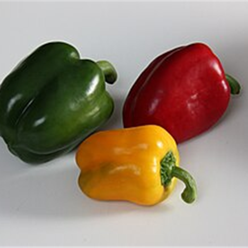Capsicum Green