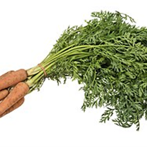 Carrot Ooty