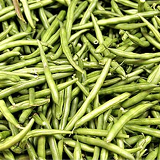 French Beans