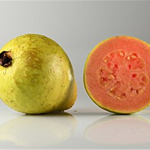 Guava Allahabadi
