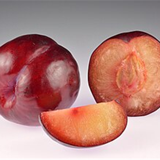Plum Imported