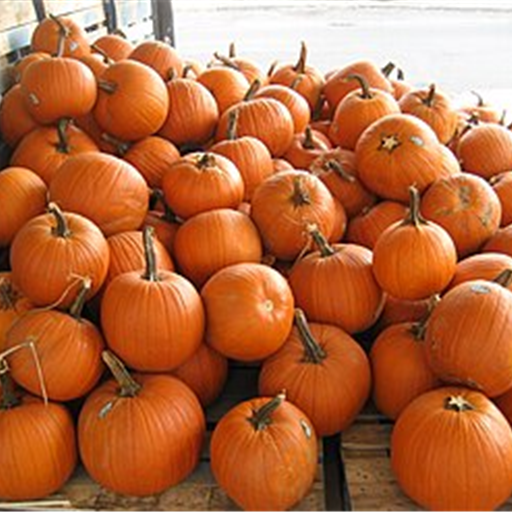 Pumpkin Cut