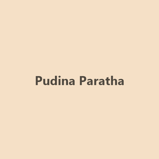 Pudina Paratha