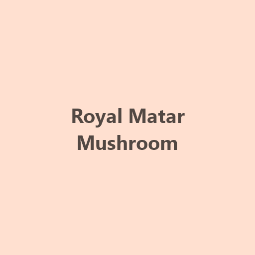 Royal Matar Mushroom